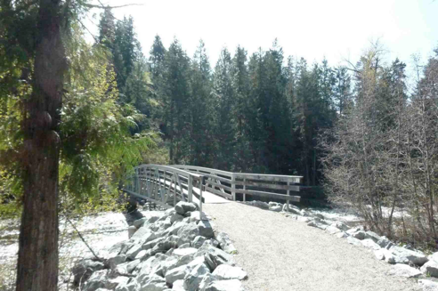 H5 Cedars Bridge